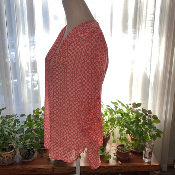 Bright Springy Tacera Semi-Sheer Blouse - Picture 4 of 7